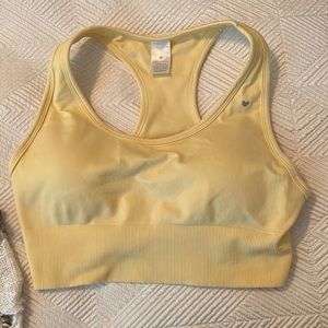 Love Fitness Sports Bra